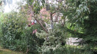 casafari-bild