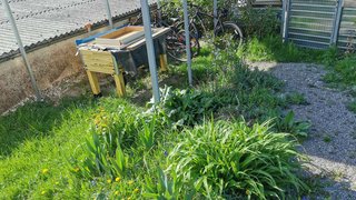 casafari-bild