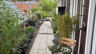 casafari-bild
