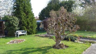 casafari-bild