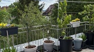 casafari-bild