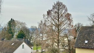 Alttag