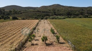 Terreno · 3500 m² · 21 500 €