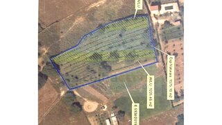 Land for sale in Palmela, Portugal — €135,000