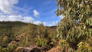 Land for sale in Portimão, Portugal — €75,000