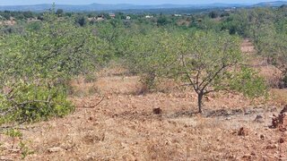 Land for sale in Silves, Portugal — €80,000