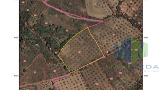Terreno de 16 550 m² em Castelo Branco