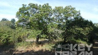 Land for sale in Tábua, Portugal — €90,000
