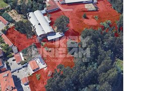 Terreno de 21 000 m² em Coimbra
