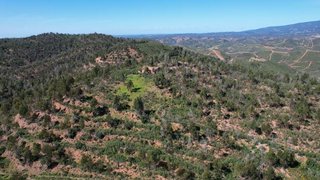 Land for sale in Silves, Portugal — €500,000