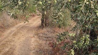 Land for sale in Silves, Portugal — €35,000