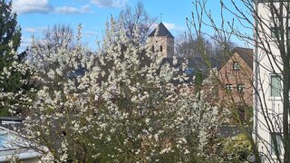 casafari-bild