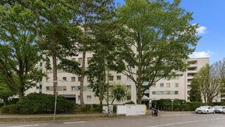 Alttag