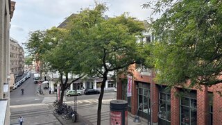 casafari-bild