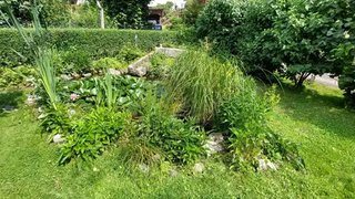 casafari-bild