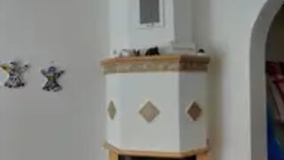 casafari-bild