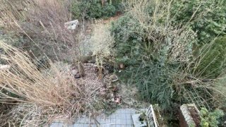 casafari-bild