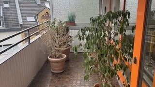 casafari-bild