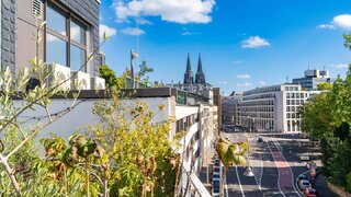 casafari-bild