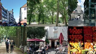 casafari-bild
