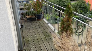 casafari-bild