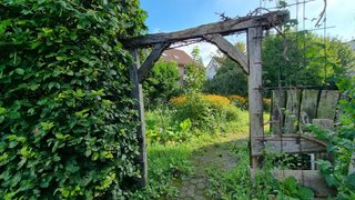 casafari-bild