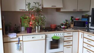 casafari-bild