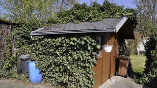 casafari-bild