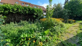 casafari-bild