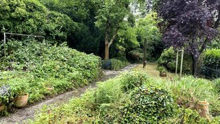 casafari-bild