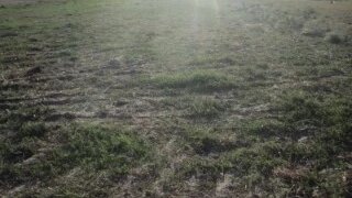 Land for sale in Montijo, Portugal — €420,000