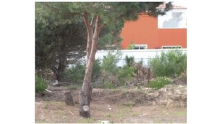 Land for sale in Óbidos, Portugal — €78,000