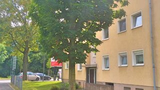 casafari-bild