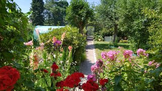 casafari-bild