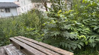 Alttag
