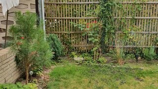 casafari-bild