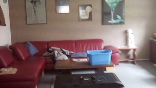 casafari-bild