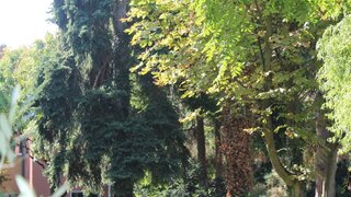 casafari-bild