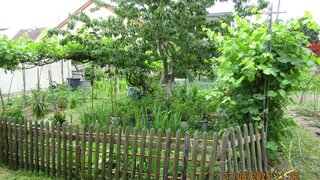 casafari-bild