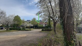 casafari-bild