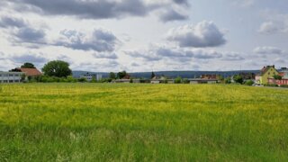 Alttag