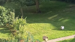 casafari-bild