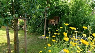 casafari-bild