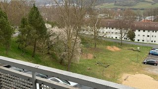 casafari-bild
