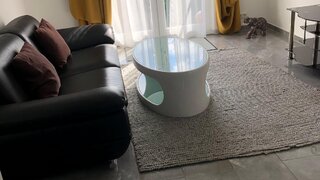 casafari-bild