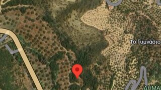 casafari-img