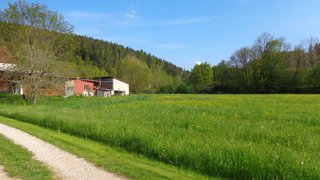 casafari-bild