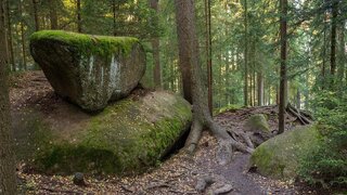 casafari-bild