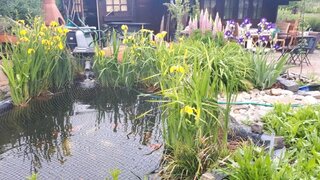 casafari-bild
