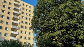 casafari-bild